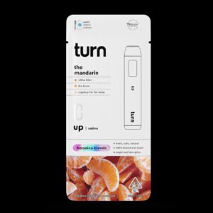 mandarin disposable vape 2G