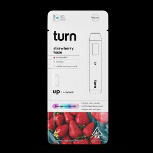 strawberry haze disposable vape THC 2G